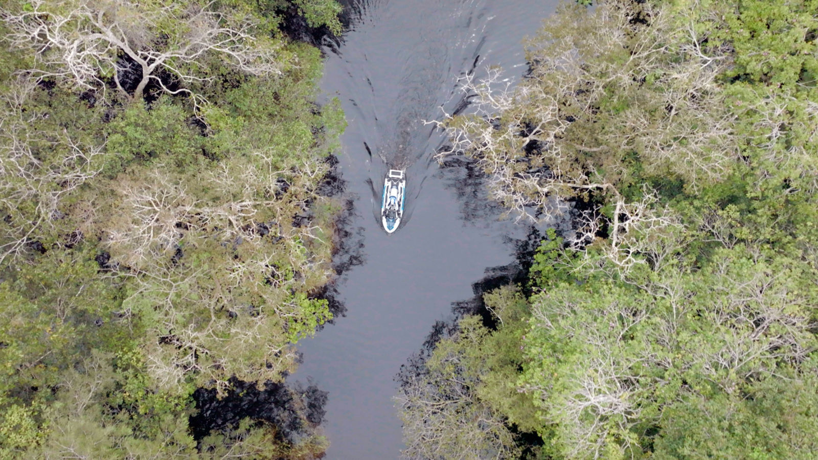 Imagem aérea da Amazônia