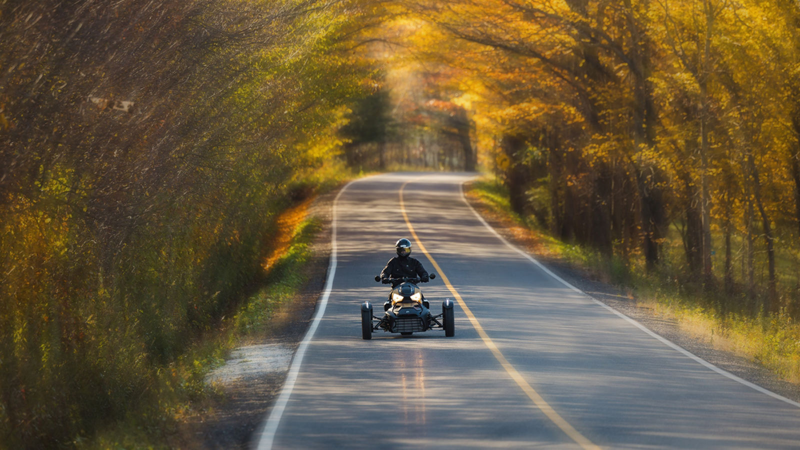 Une moto 3-roues Can-Am Ryker en randonnée sur une route entourée d'arbres