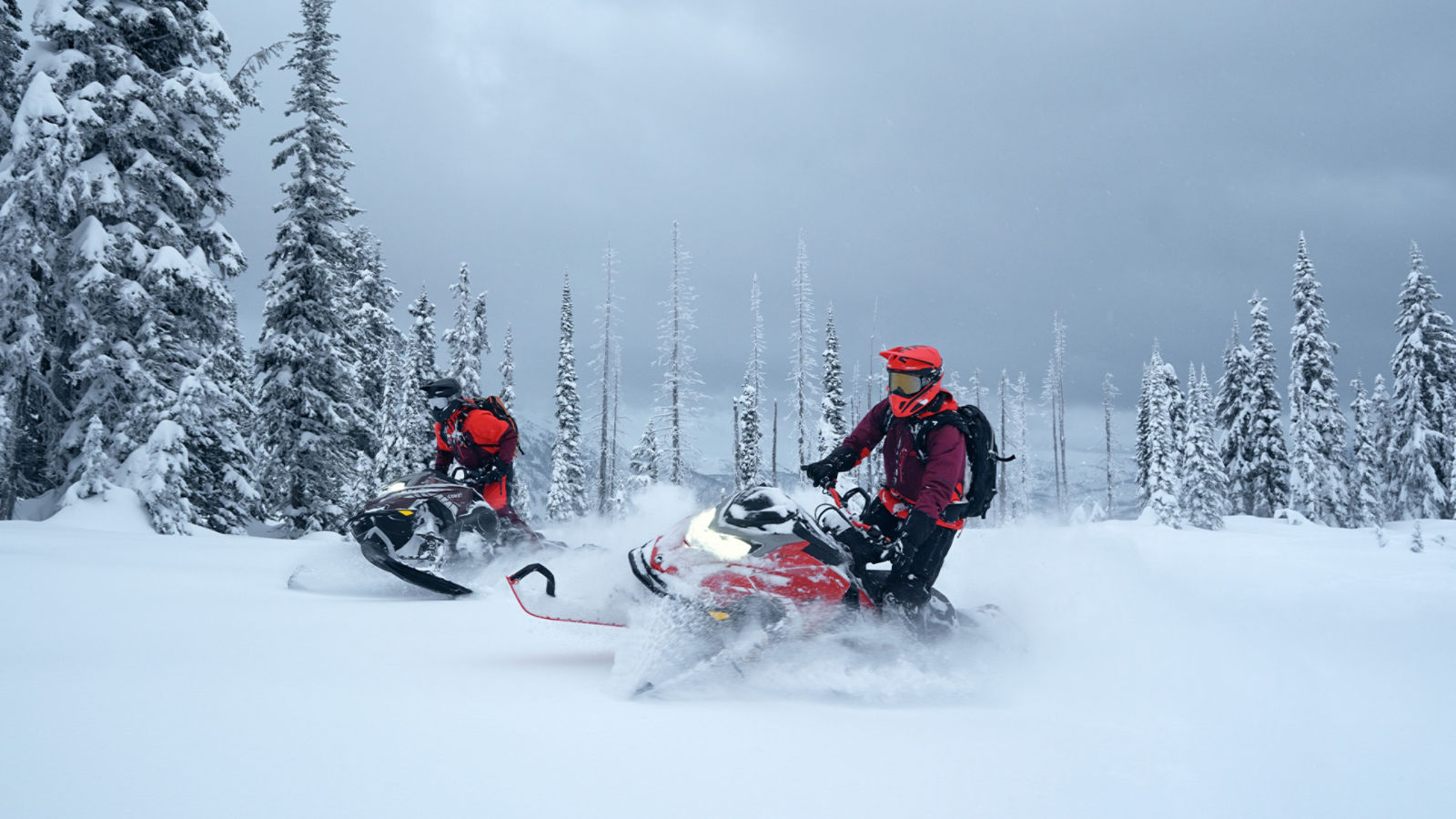 Deux motoneigistes en randonnée sur des motoneiges Lynx dans une forêt enneigée