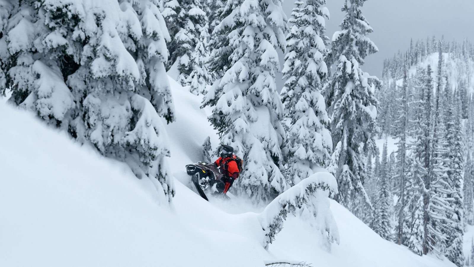 Snowmobiler riding the 2026 Lynx Shredder DS through the deep snow of a snow-covered forest.