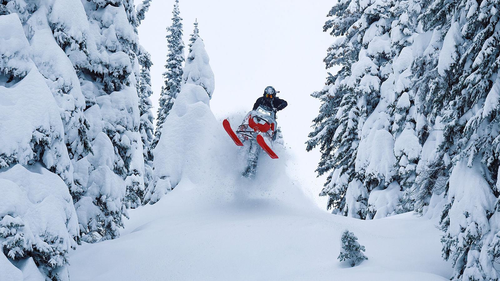 Fører utfører et hoppstunt mellom trær på en 2027 Lynx Shredder snøscooter