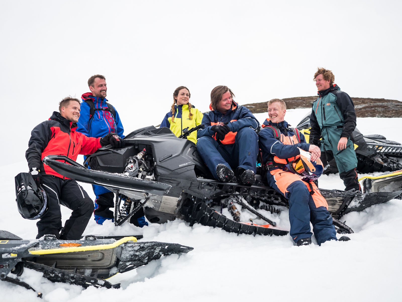 Friends around a lynx