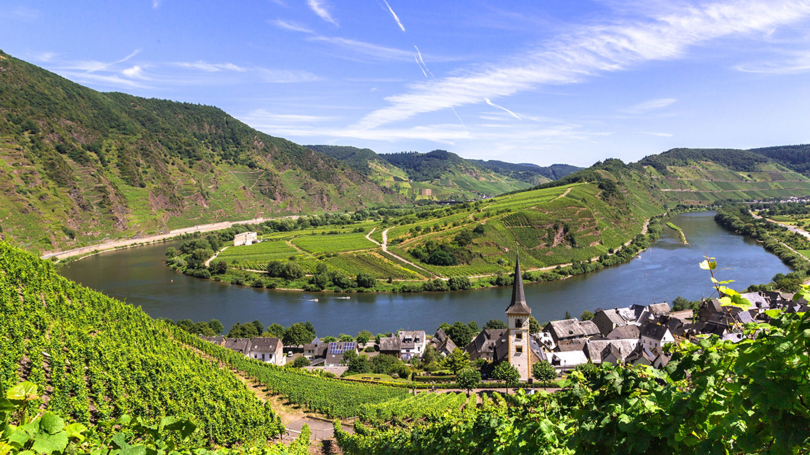 Blick von Bremm auf die Mosel mit Moselschleife