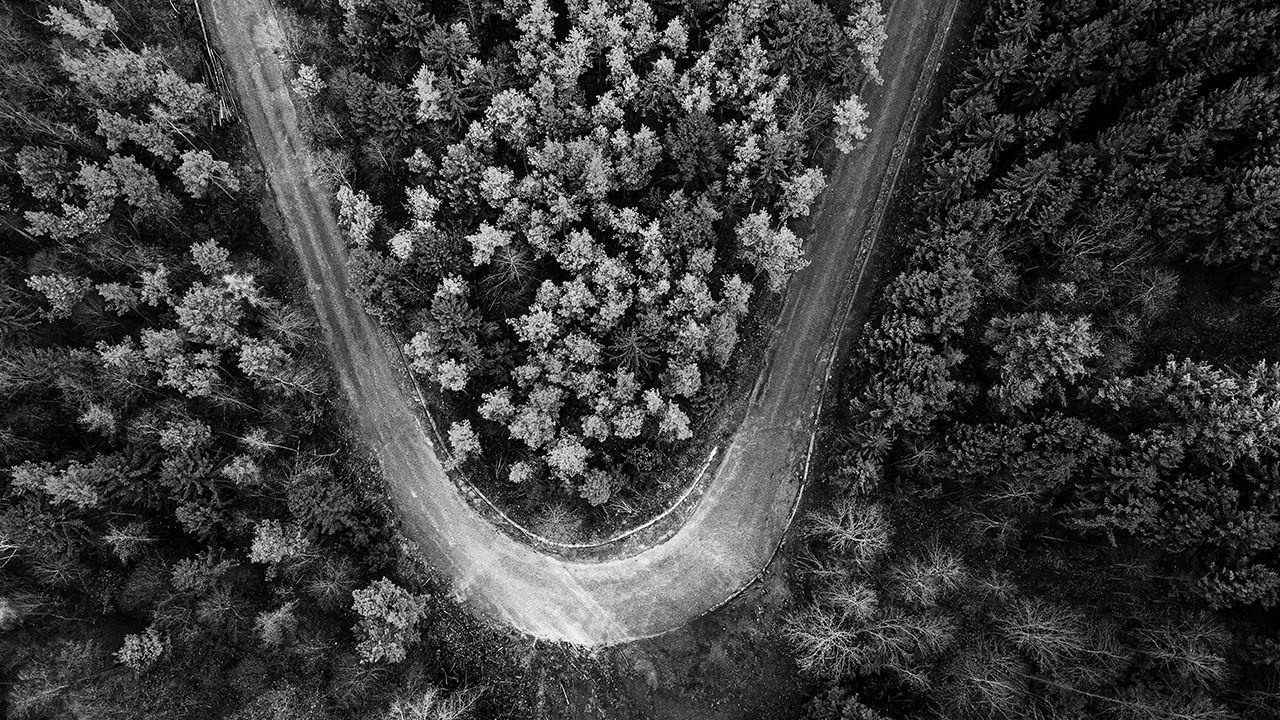 Aerial view of a gravel road surrounded by forest