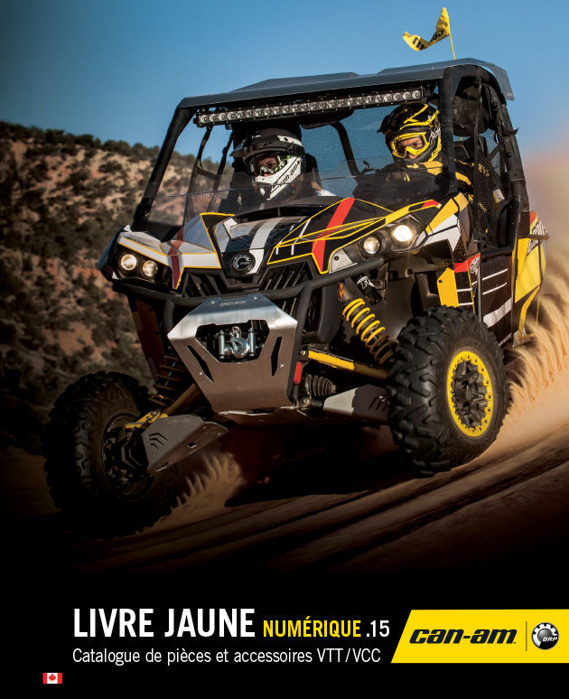 2015 Livre jaune numérique
