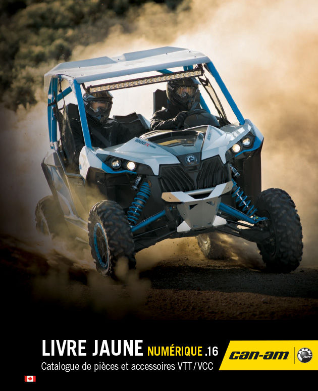 2016 Livre jaune numérique