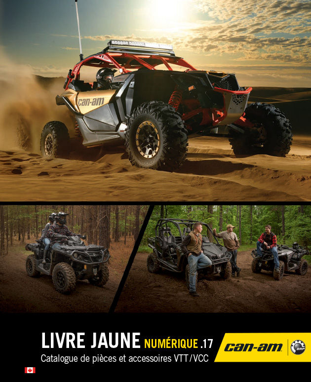 2017 Livre jaune numérique