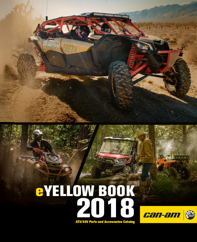 2018 Yellow Book