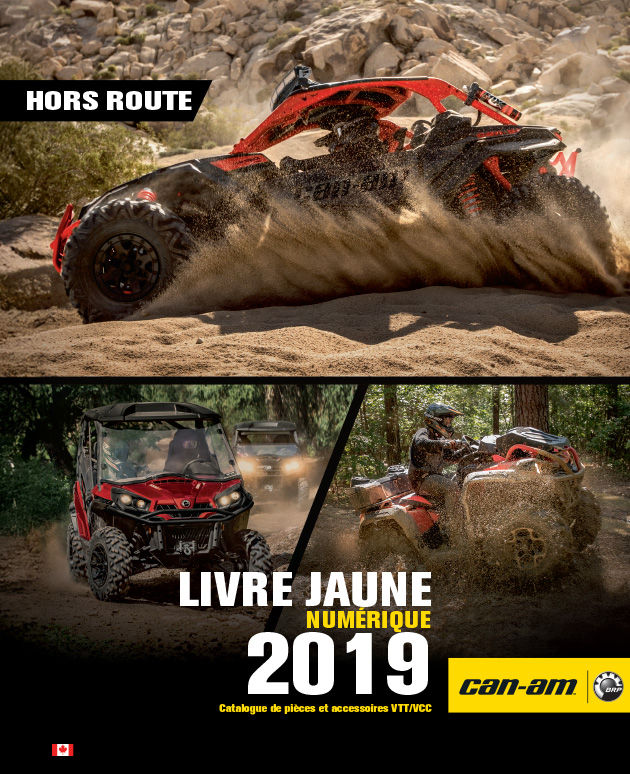2019 Livre jaune numérique