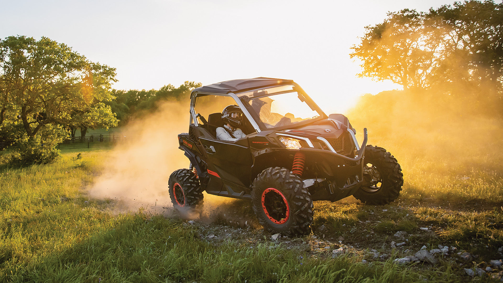 Maverick Sport riding in a sunny field