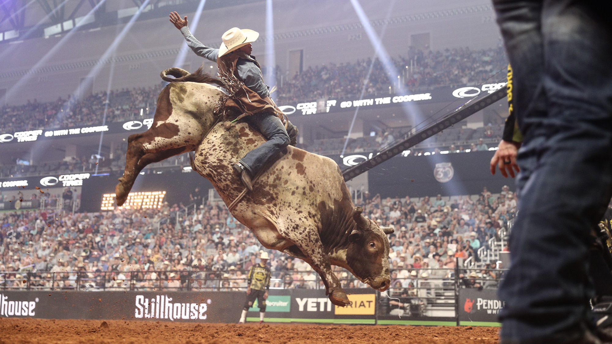 A bull rider in action