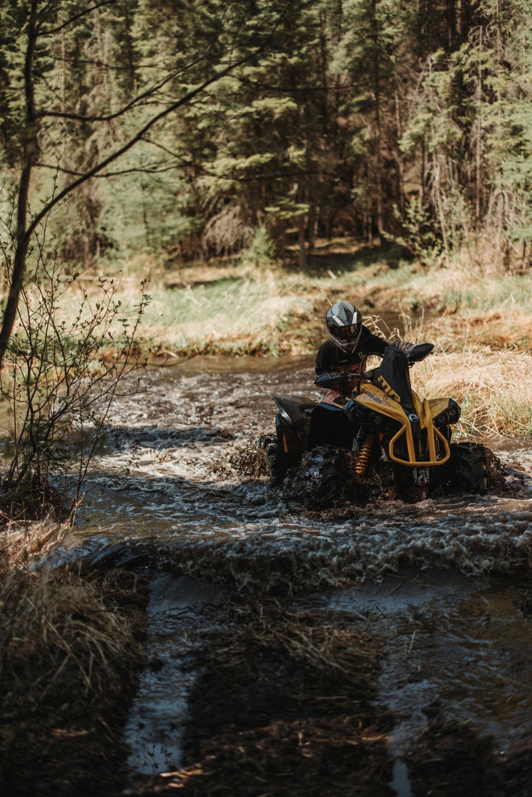Renegade submerged in water