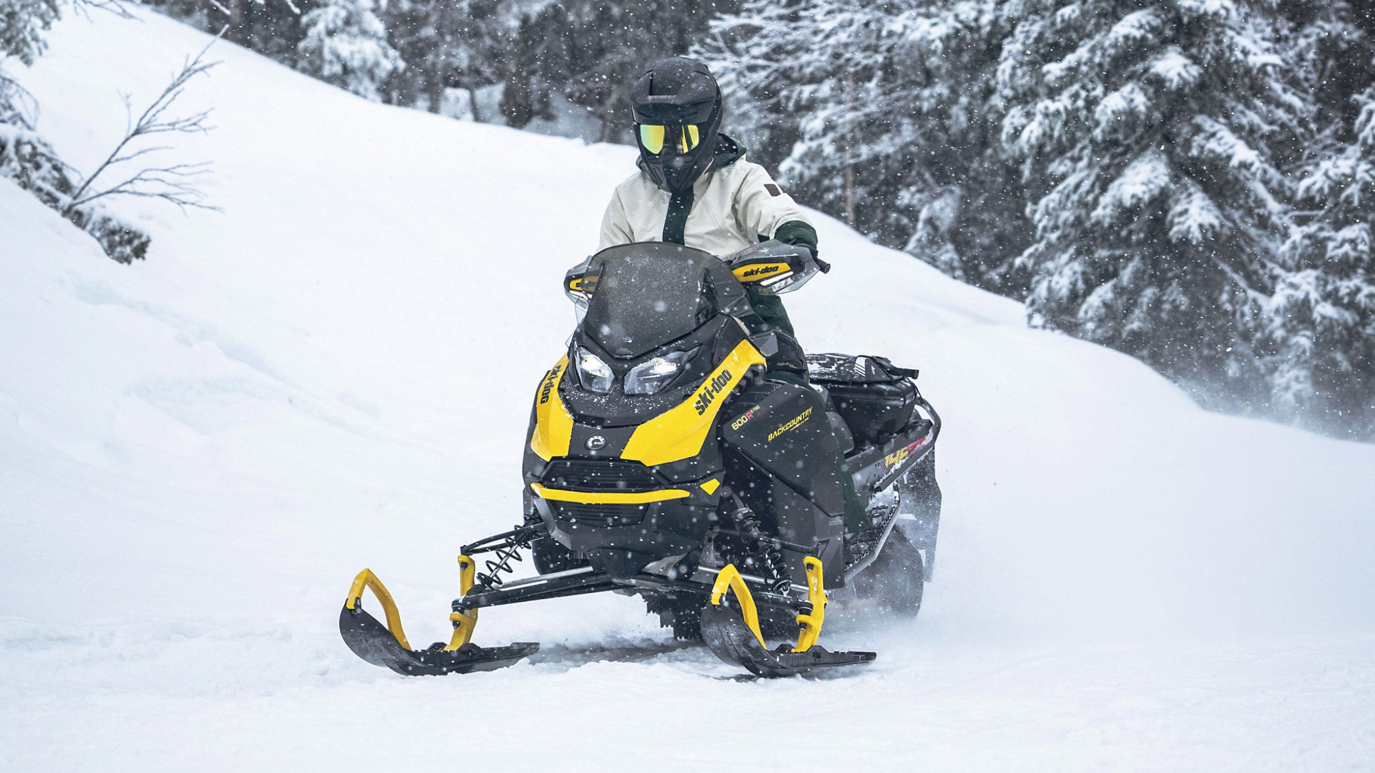 Ski-Doo Backcountry 2024 sur un sentier