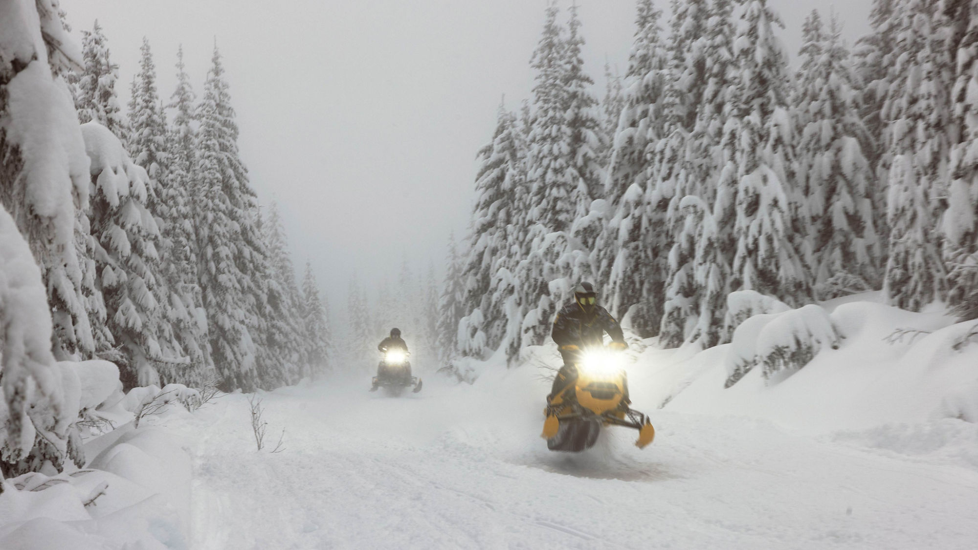 Conducteurs de motoneige sur une piste enneigée