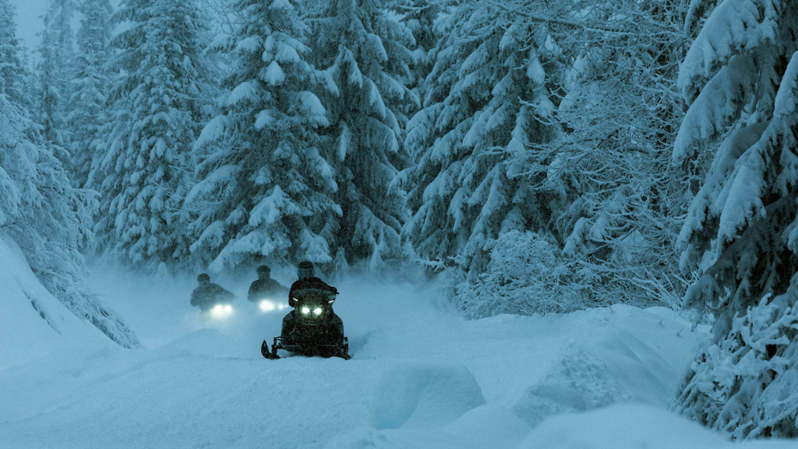 Trio av Ski-Doo trail snöskotrar åker på natten