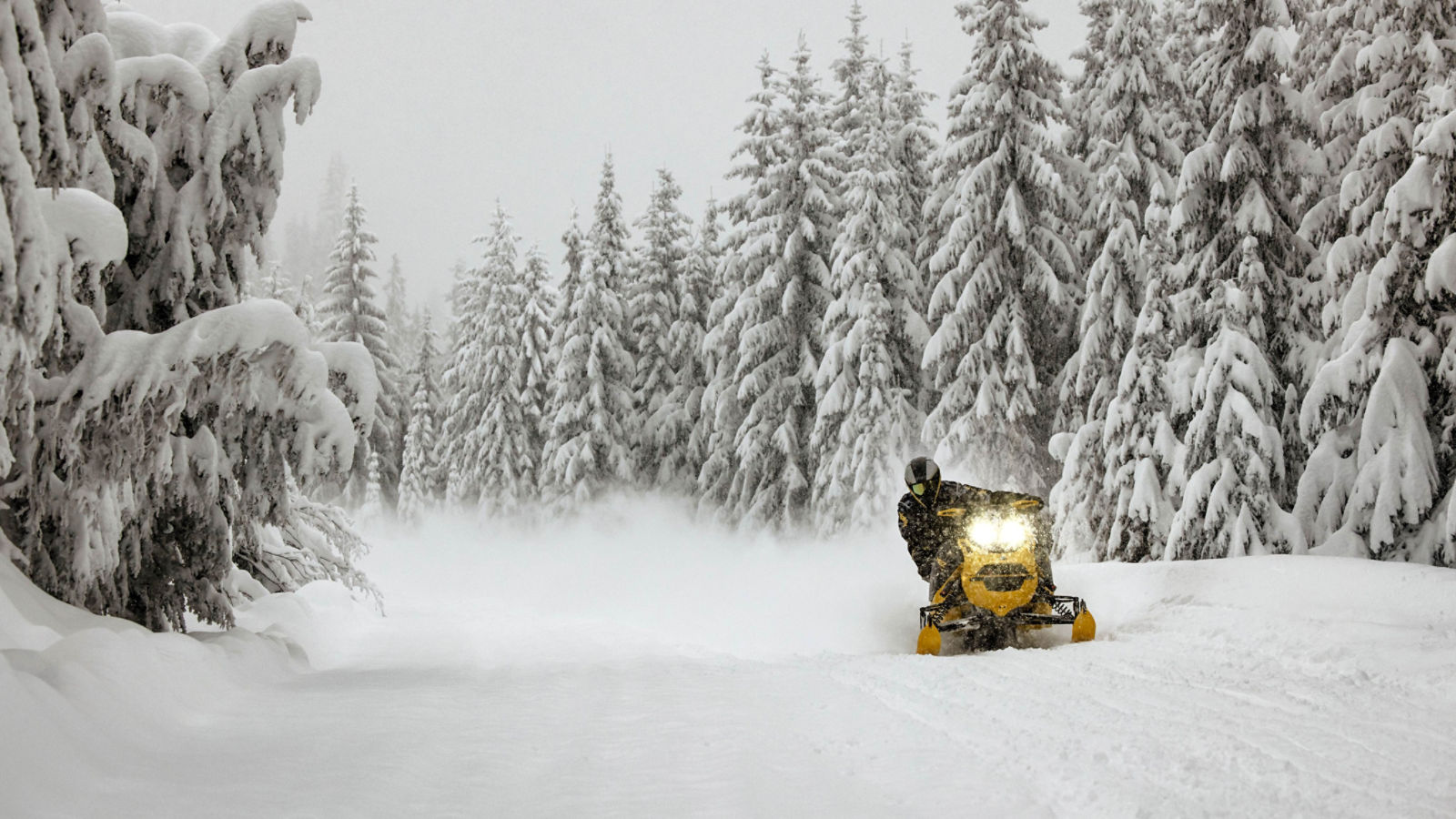 2025 Ski-Doo MXZ trail snowmobile in action