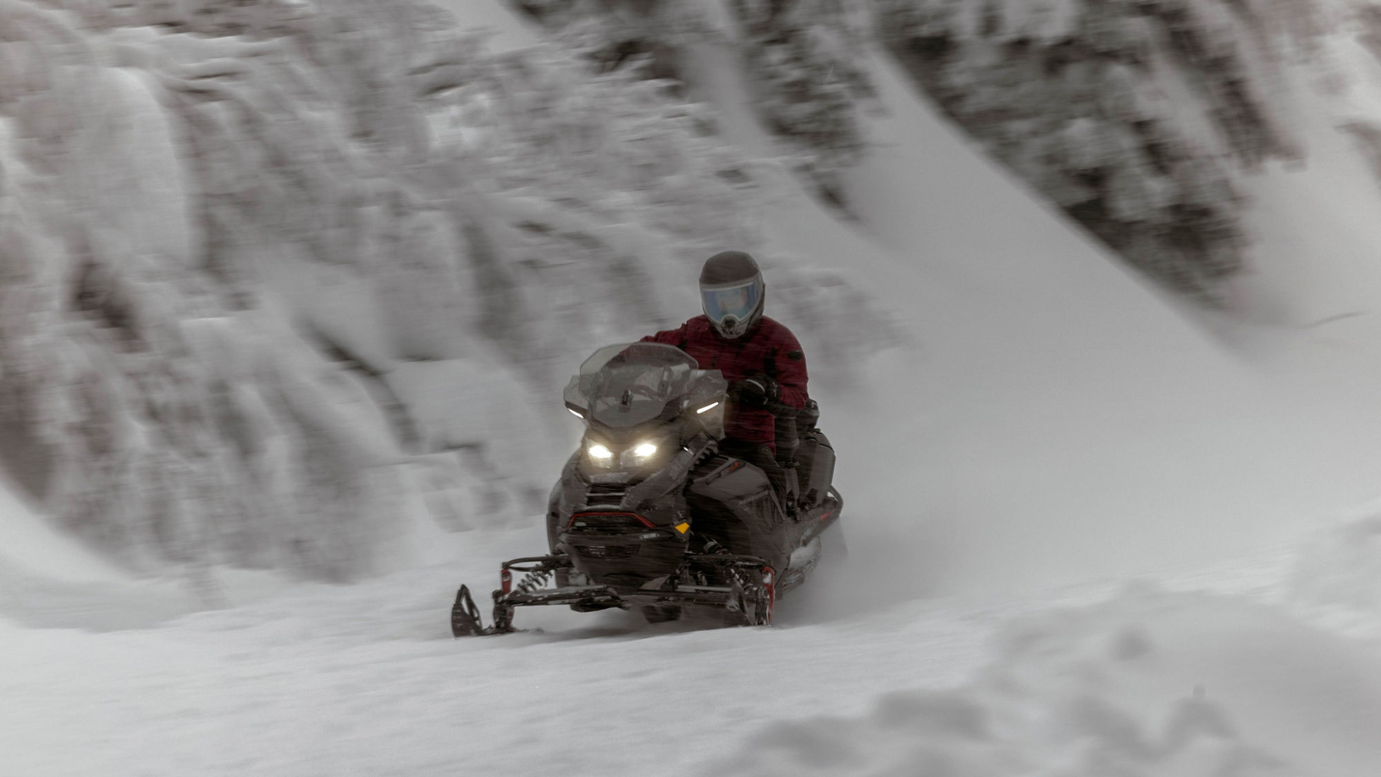 2025 Ski-Doo Renegade riding at high speeds in a snowy forest