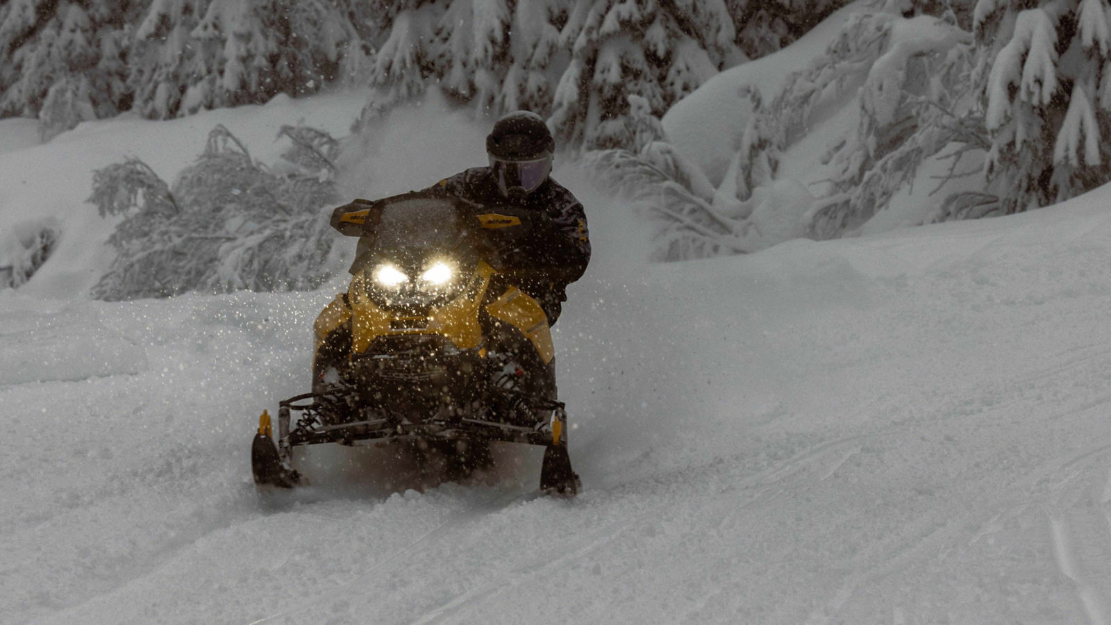 2025 Ski-Doo Renegade on a freshly snowed trail