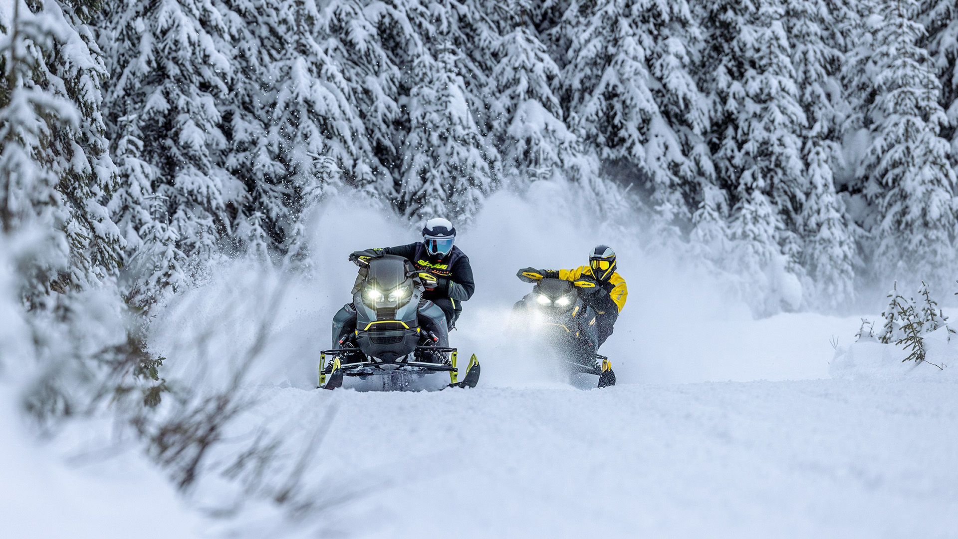 Two snowmobilers riding their 2026 Ski-Doo trail snowmobiles through a snowy forest.