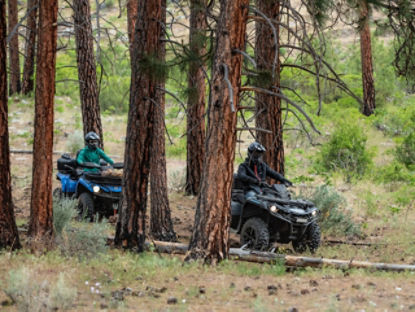 couple of can-AM riders in the forest