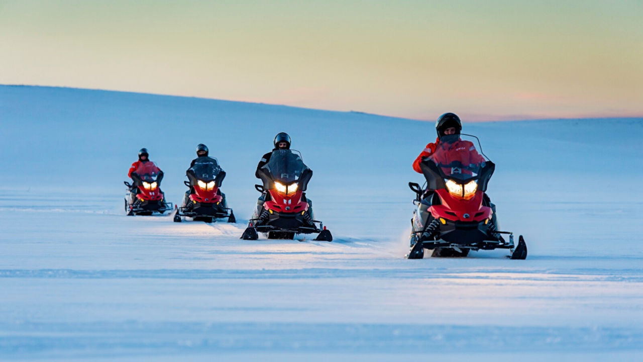 group of lynx riders