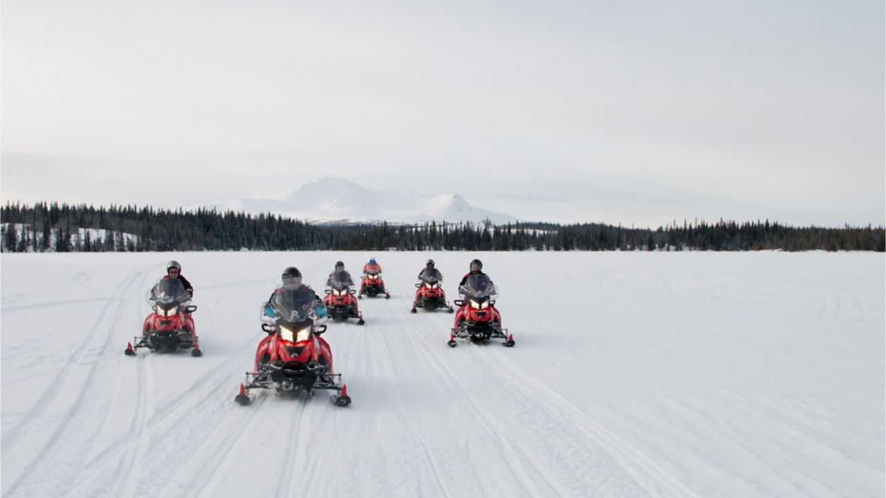 group of lynx riders in Sweden