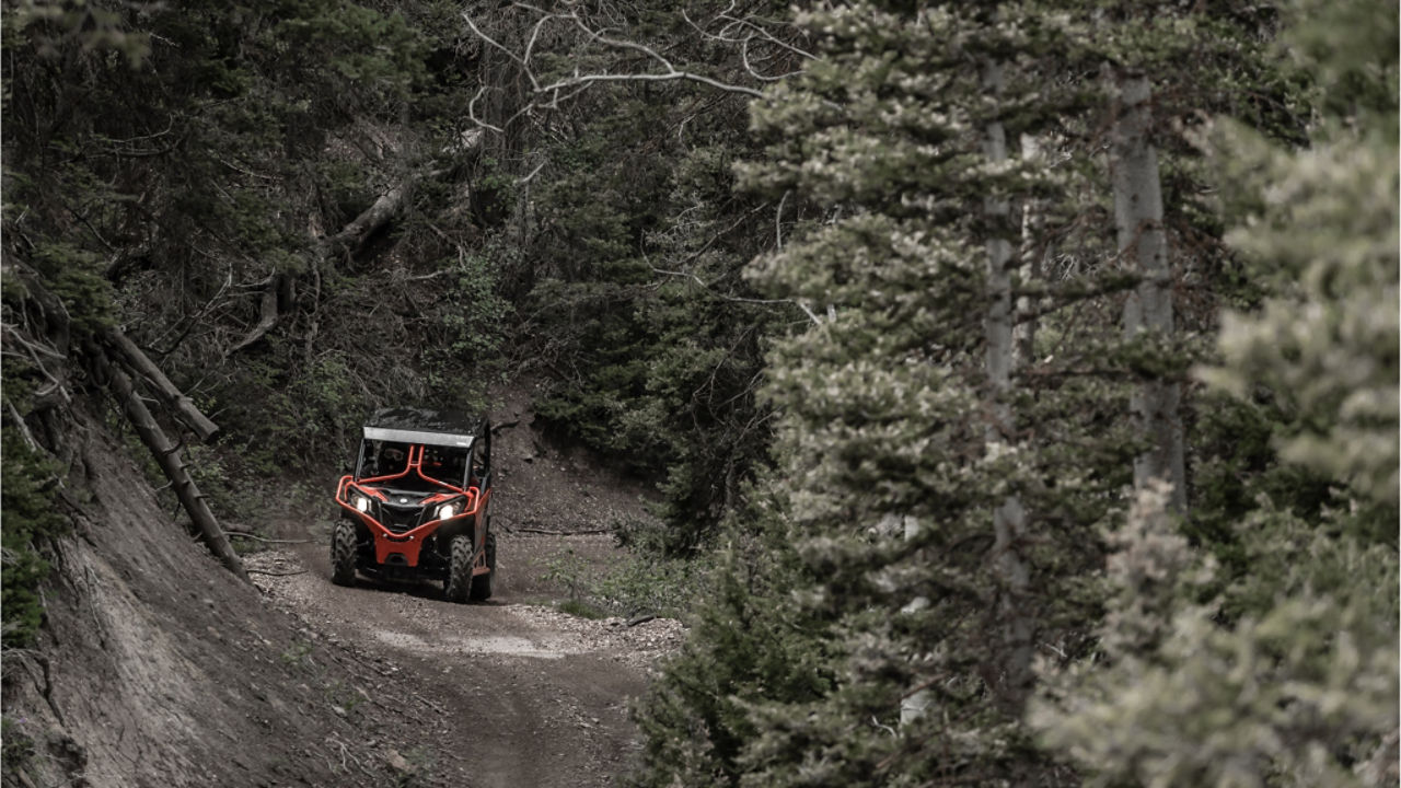 forest UTV ride in a Can-Am