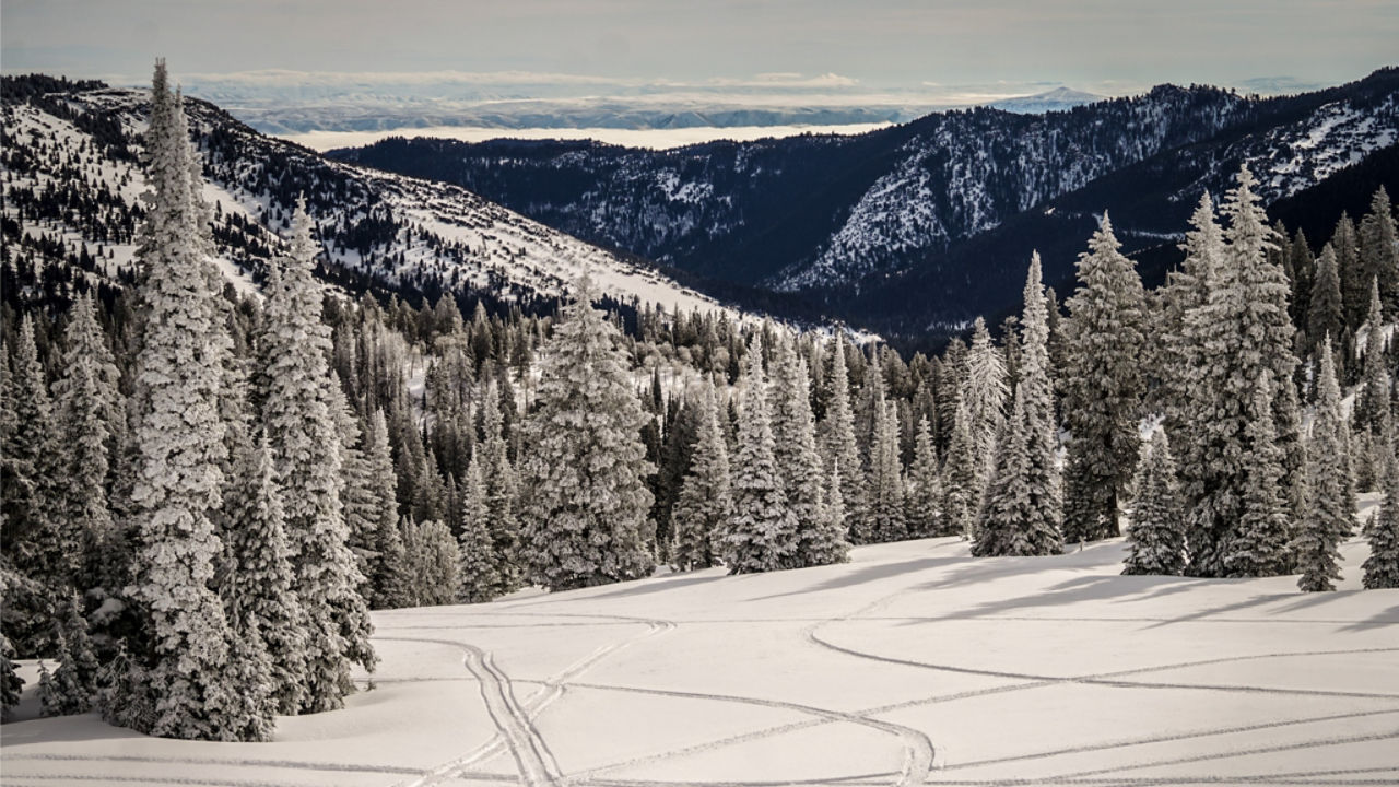 winter wonderland ride on a Ski-Doo