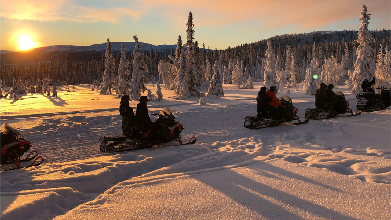 lynx ride at sunset in Sweden