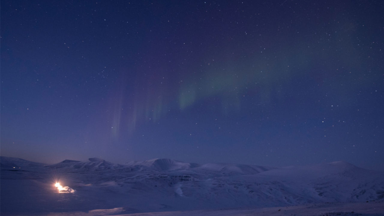 the northern lights in svalbard