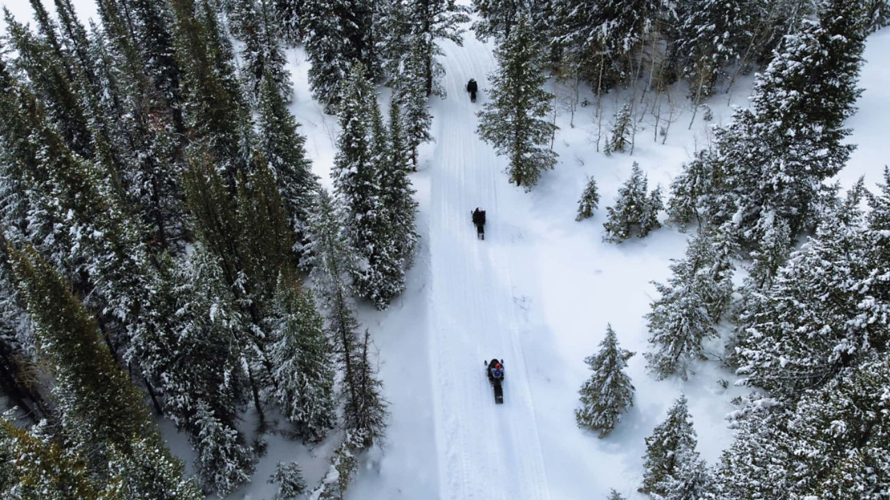 drone shot of ski doo riders