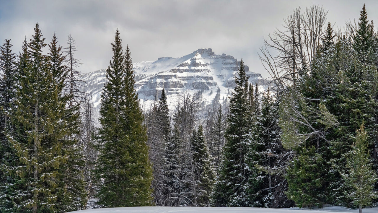 jackson hole mountain range