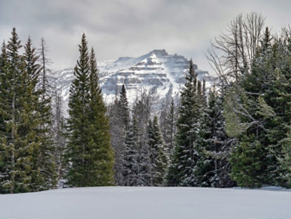 jackson hole wyoming landscape