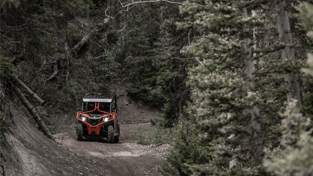 can am side by side in the forest