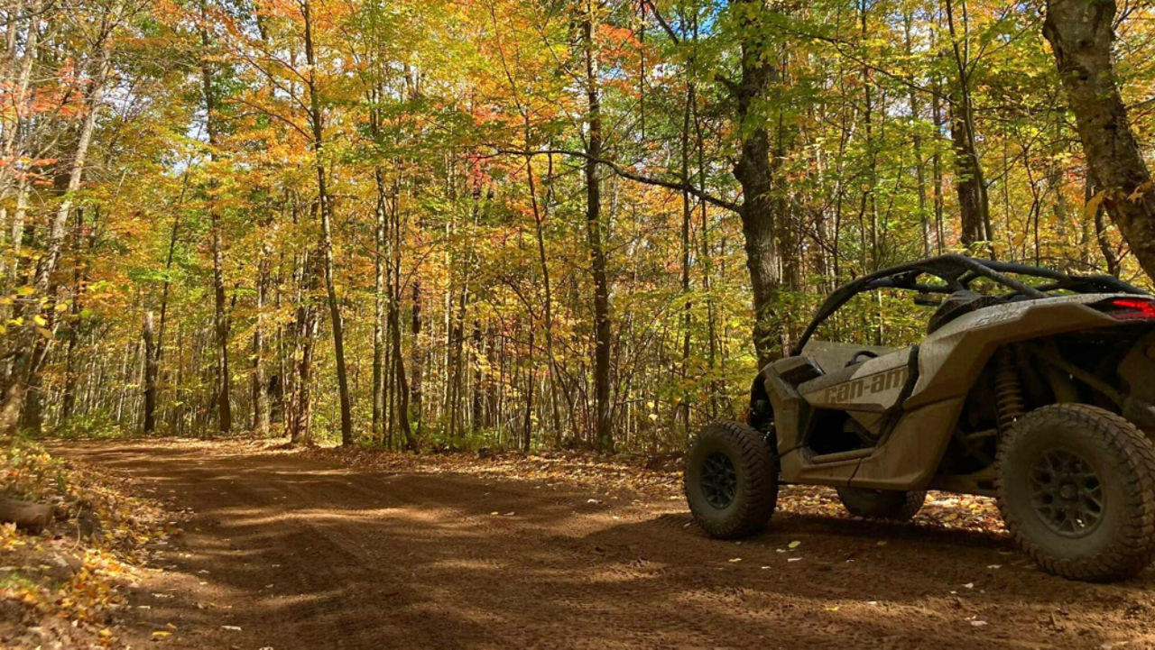 can am maverick in the woods