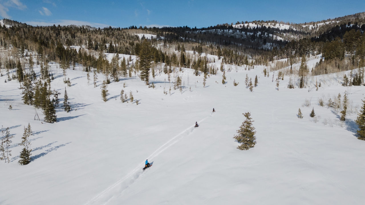 group ski-doo in mountains