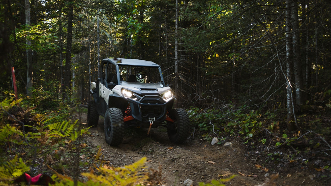 nord expe new orv images