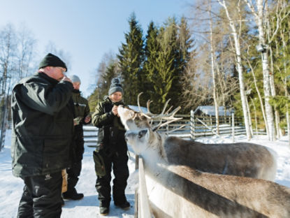lapland safaris updated