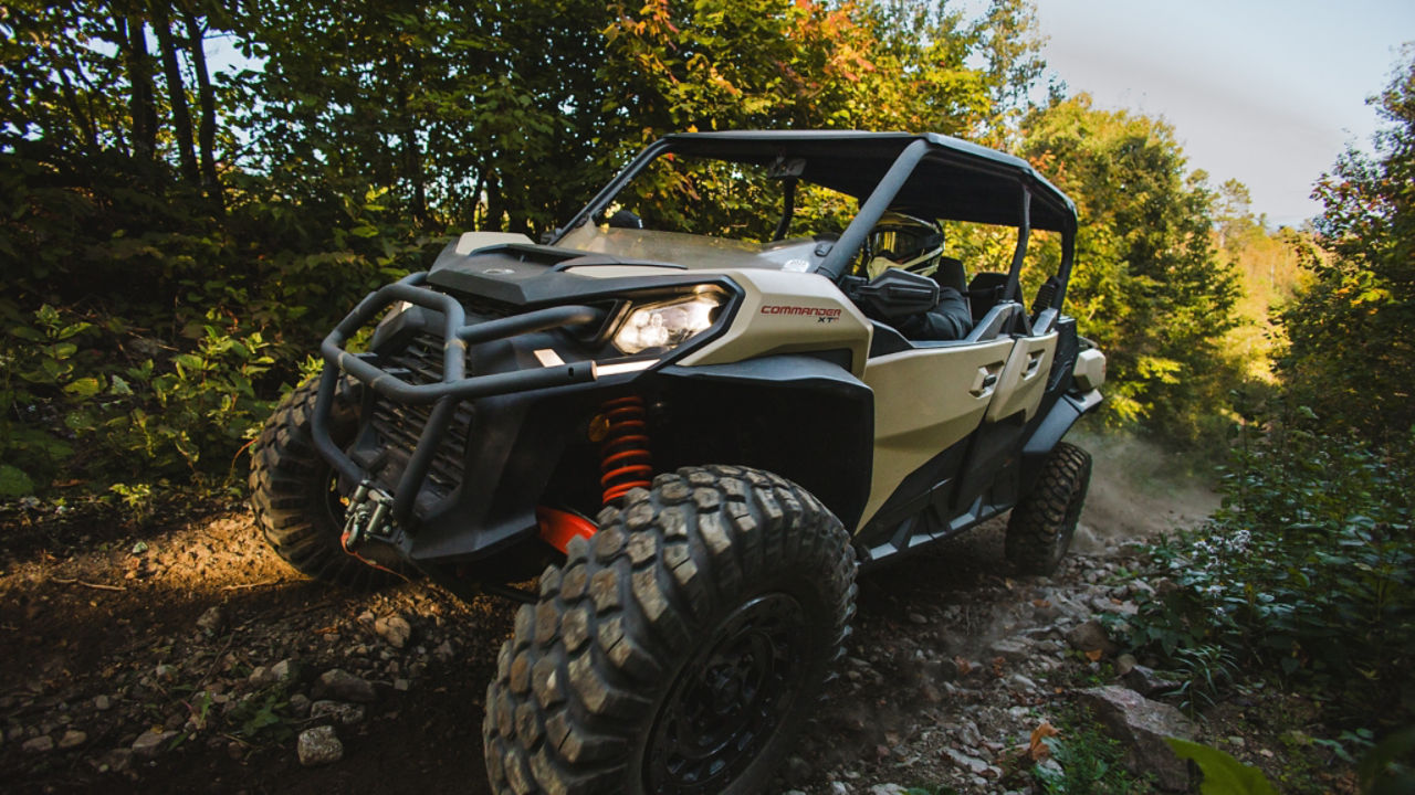 coaltown new adventure