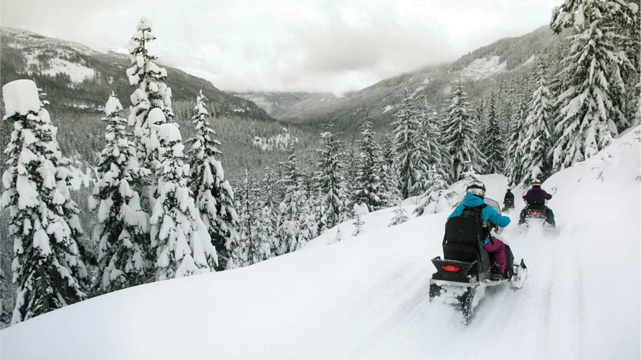 the adventure group skidoo images