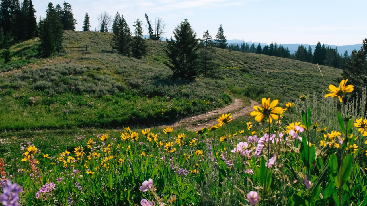 off grid can-am adventures