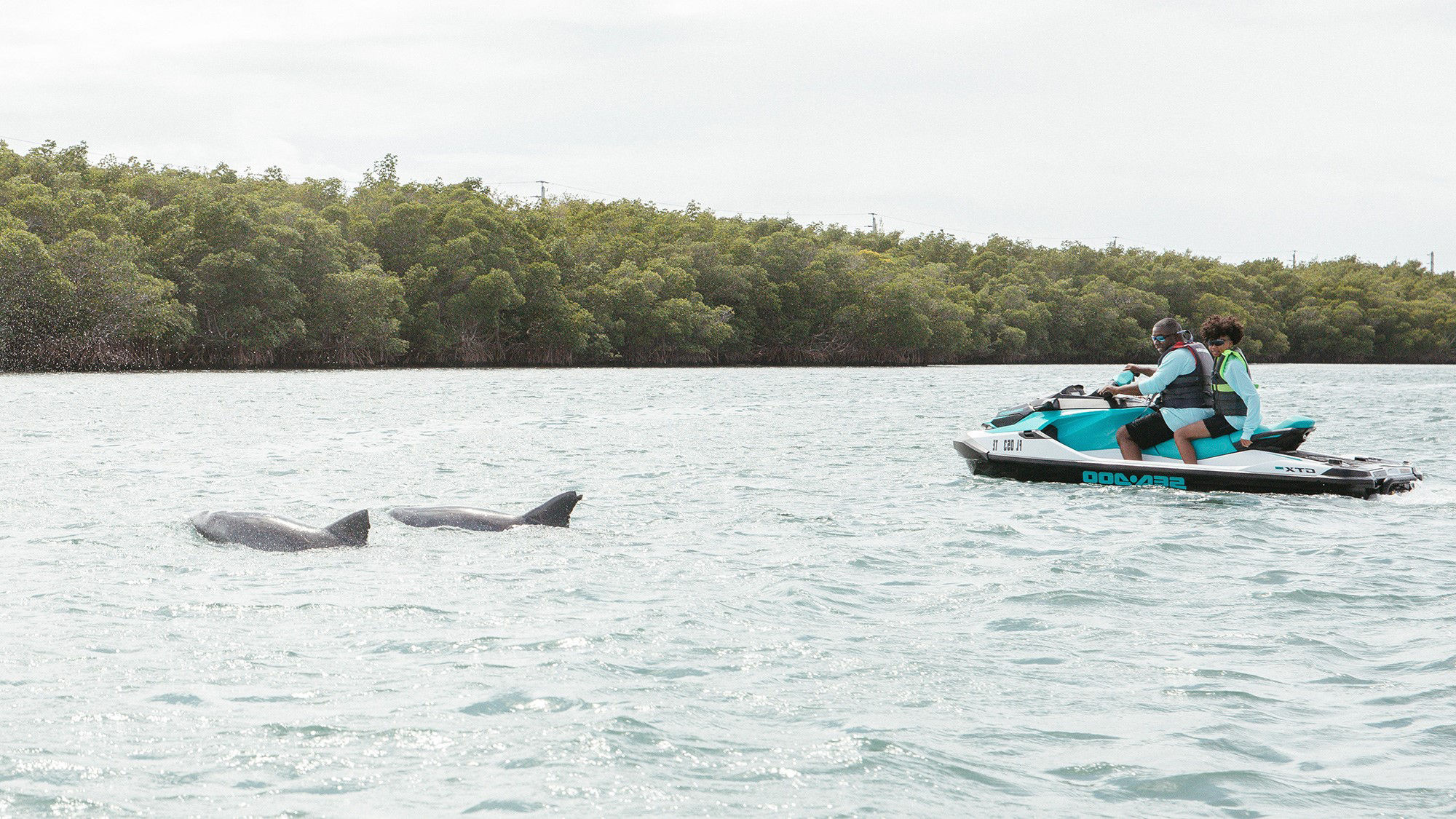 Observation des dauphins à bord d'un Sea-Doo