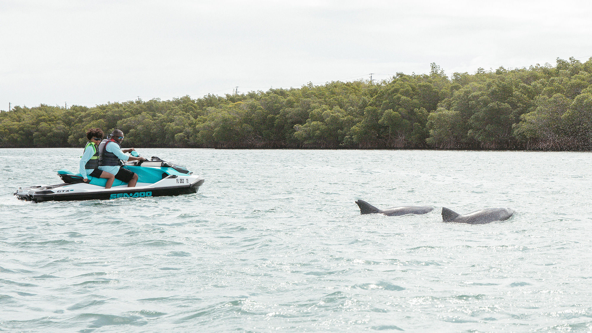 Sea-Doo riding with dolphins in Florida