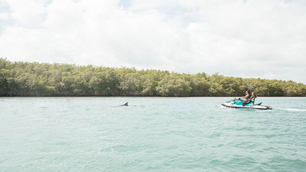 Mère et fille sur une motomarine regardant les dauphins nager