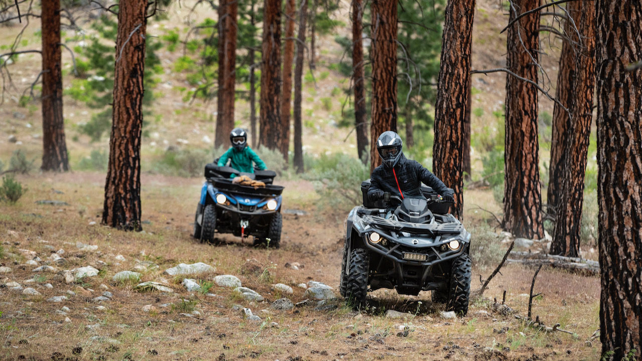 tree-lined atv ride in the forest