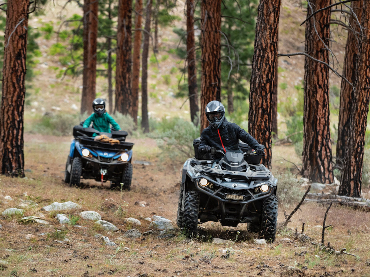 Can-Am ATVs in the forest