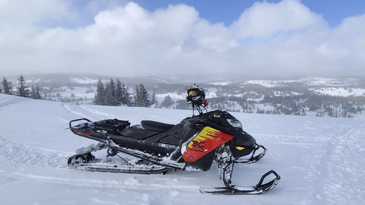 Ski-Doo en forêt