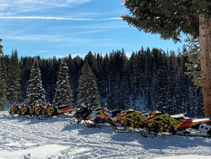 Ski-Doo alignés dans la neige