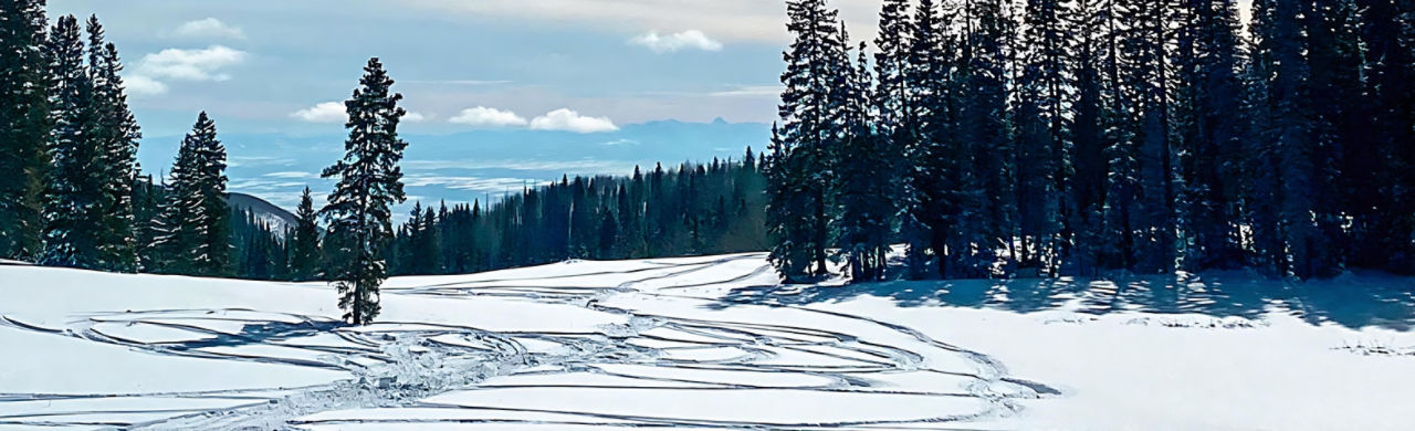 Traces d’une motoneige Ski-Doo dans la neige